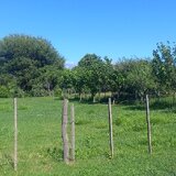 Terreno En Fme Zona La Casona Vendo